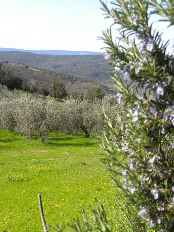 Agriristoro Podere S. Andrea Massa Marittima Luaran gambar