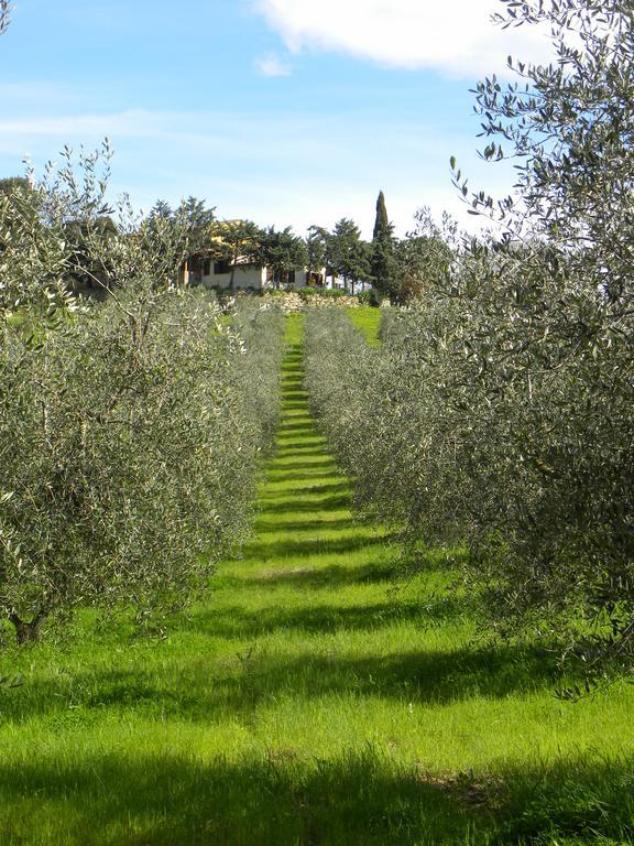Agriristoro Podere S. Andrea Massa Marittima Luaran gambar
