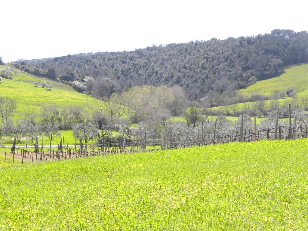 Agriristoro Podere S. Andrea Massa Marittima Luaran gambar