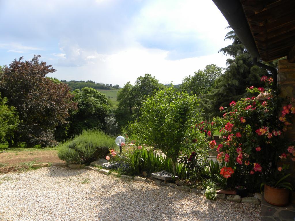 Agriristoro Podere S. Andrea Massa Marittima Luaran gambar