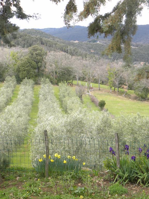Agriristoro Podere S. Andrea Massa Marittima Luaran gambar